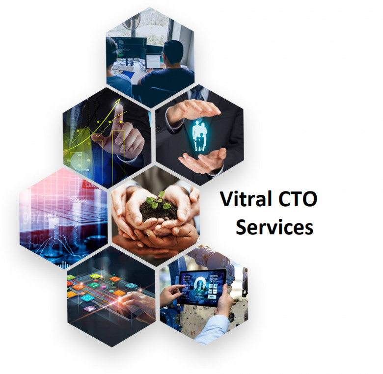 virtual cto services