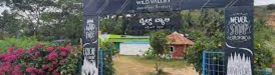 wildvalley