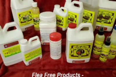 Benefits of Flea Free Food Supplements for Pets