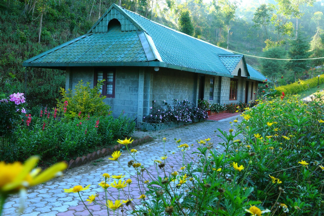 Honeymoon resort in Munnar