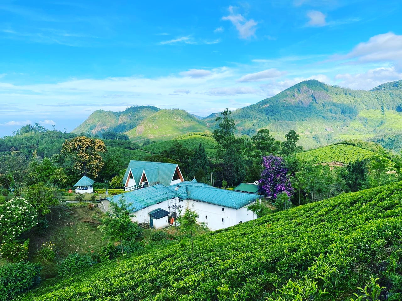 Best Resort in Munnar