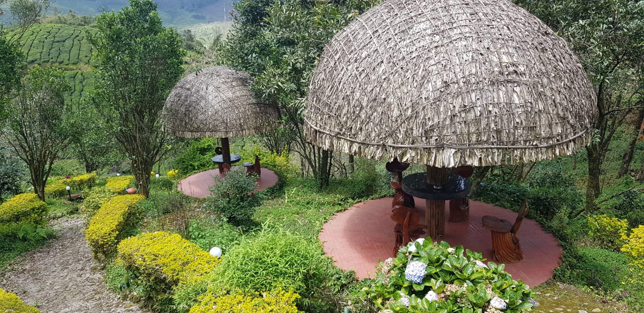resort in munnar