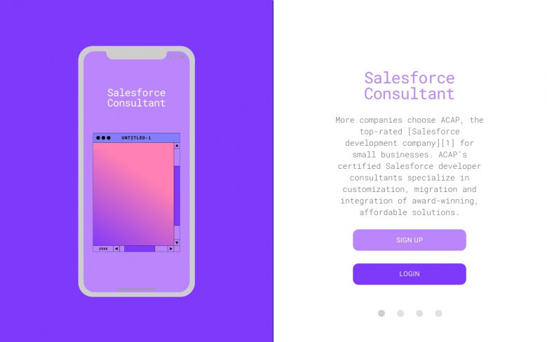 Salesforce Development Services Company ACAP