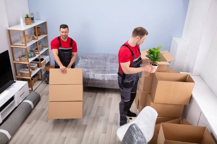 Moving Companies in Dubai