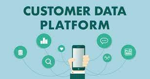 customer data management platform validate records