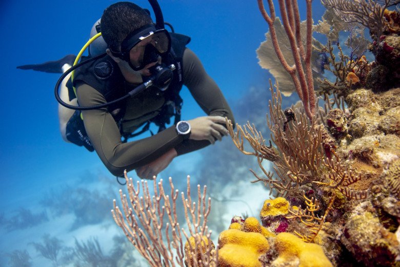 Snorkeling in Kerala
