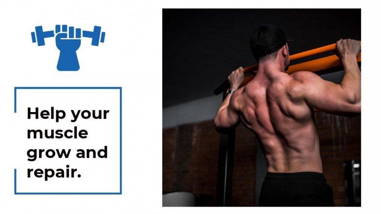 Know About Good Upper Body Workouts