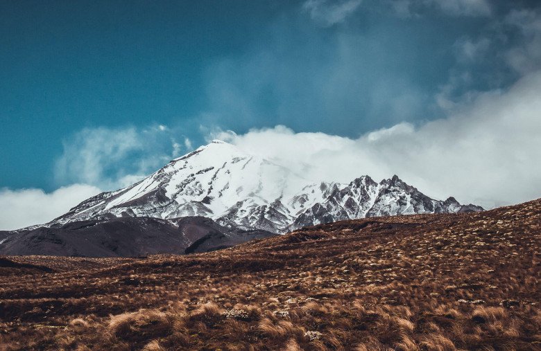 earthworks in Newzealand