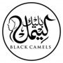 blackcamels