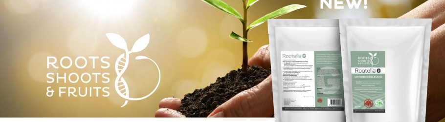rootshootfruit