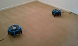 ltrafloodrestoration.com.au/carpet-drying-mount-franklin