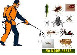 Progressive Pest Control