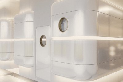 Lyme Disease and Its Treatment