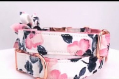 Personalized  Dog ID Flower Collar Set with Leash | Free Engraving