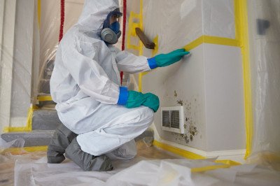 Stop The Spread Of Mold With Professional Remediation Services