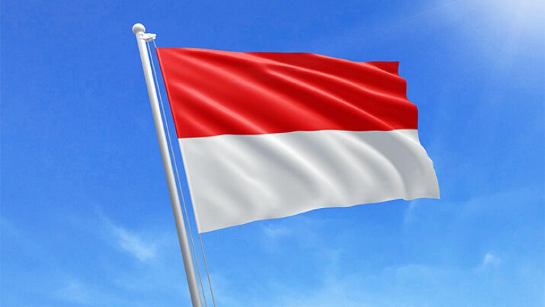 Indonesia Legalization Service