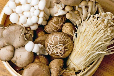 Learn to Grow Mushrooms Easily at Home