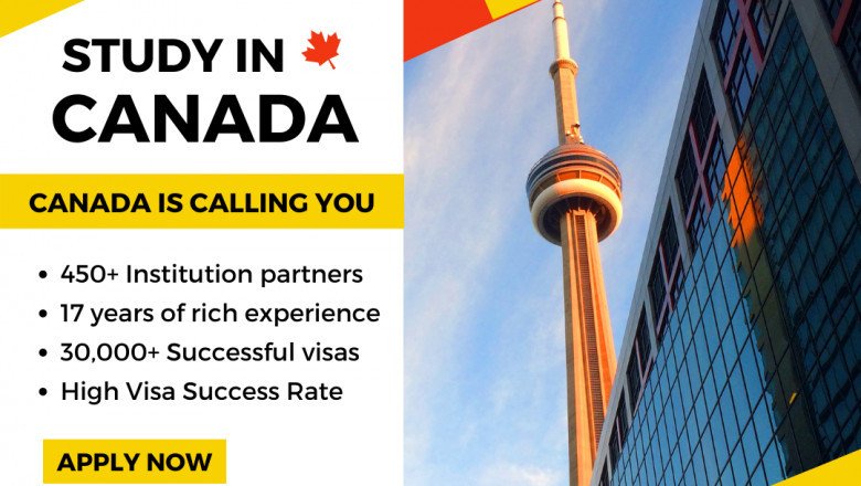 Best Canada Study Abroad Visa | Top 5 Canada Immigration Consultants