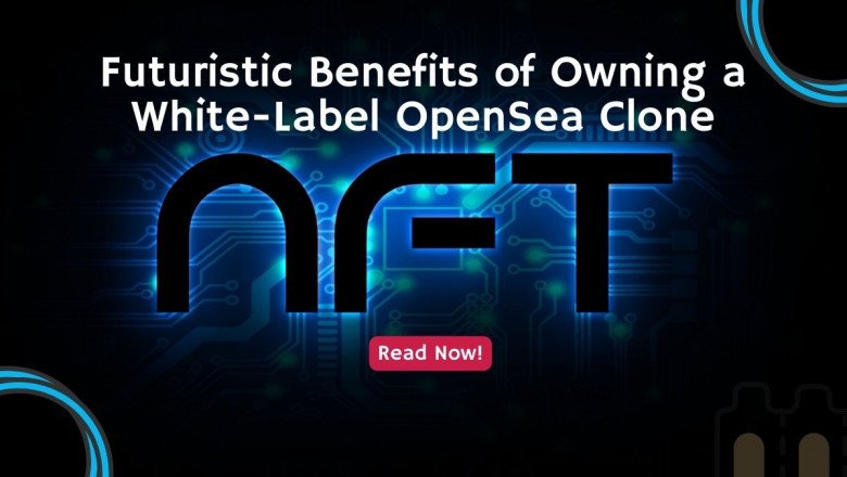 The Stages of White Label Opensea Clone Development Are as Follows