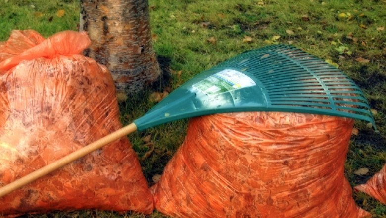 Oh, My Raking Back. How to Rake without Backlash