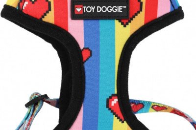 Get Purchase The Rainbow Dog Collars at Affordable Price