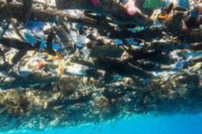 Are Plastic Bags Non Biodegradable?