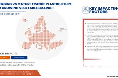 France Plasticulture for Growing Vegetables Market Is Expected to Grasp the CAGR of 3.0% by 2028, Industry Size, Shares, Trends, Growth and Revenue Outlook