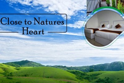 Discover the Best Vagamon Camping Experience