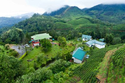 Honeymoon cottages in Munnar | Budget resorts in Munnar