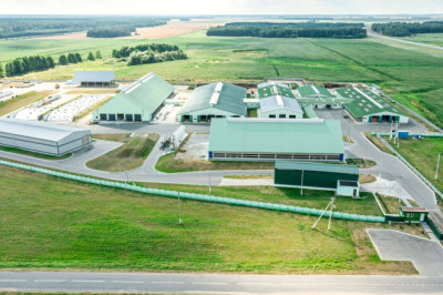 How Do Pre Engineered Buildings Are Perfect For Agricultural Purposes