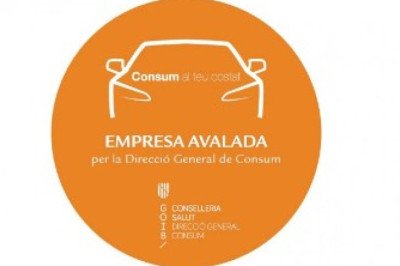 Terms and Conditions Made Easy: A Simplified Explanation for Binicars Users