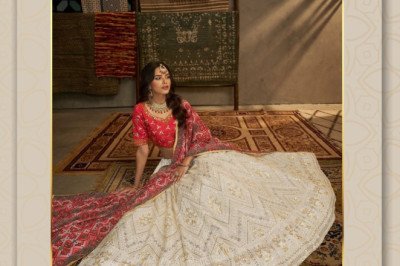 Want a beautiful Party wear Lehenga?