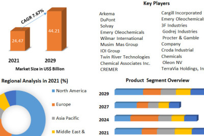 Oleo Chemical Market