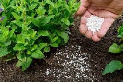 Garden Fertilizer: The Ultimate Guide to Choosing and Using the Best Fertilizer for Your Garden