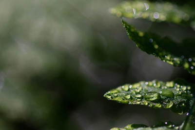 Kurs fotograferingFotokurs-online.se