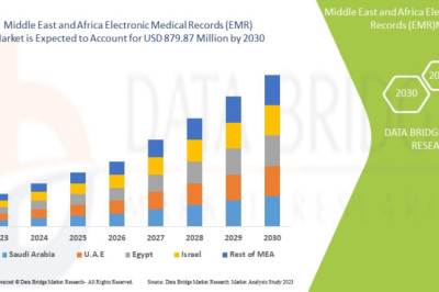 Middle-east-and-africa-electronic-medical-records-emr-marketAnalysis by Industry Perspective, Comprehensive Analysis, Growth and Forecast 2022 to 2029