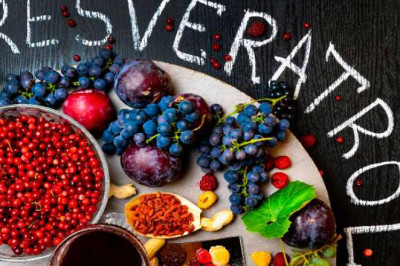 Resveratrol and Cancer Prevention: A Promising Therapeutic Agent
